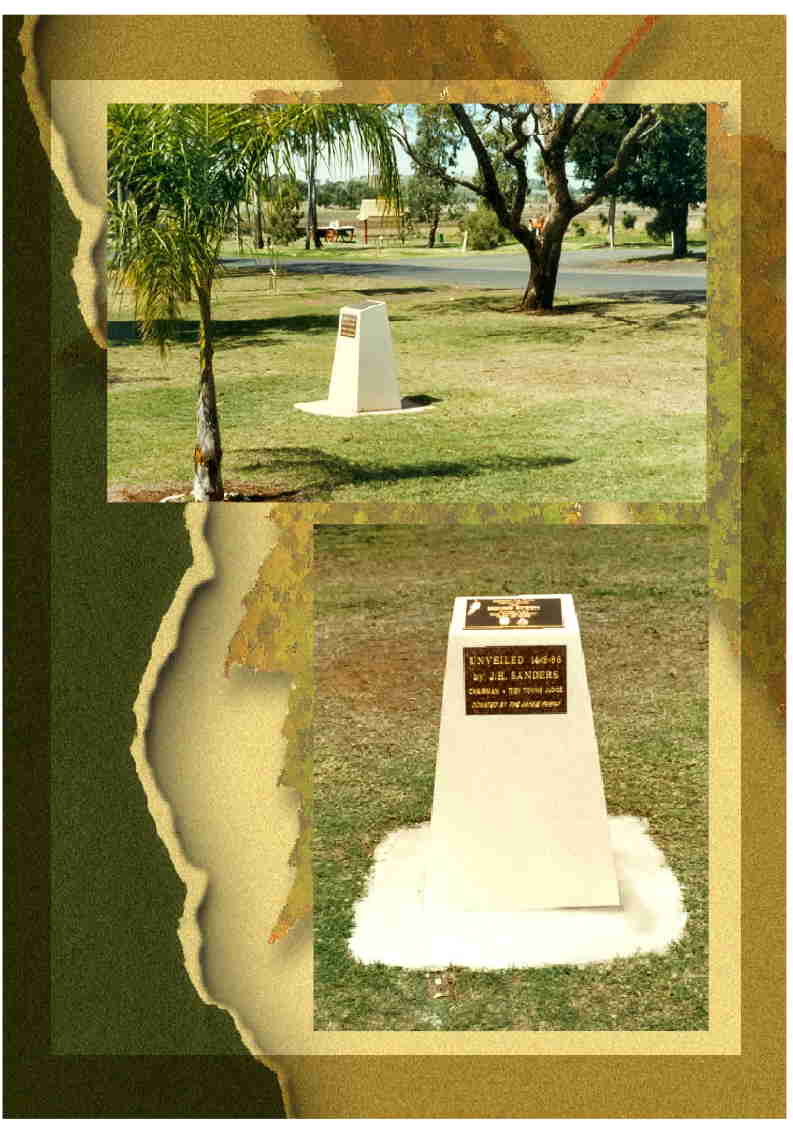 Mt Tyson Tidy Towns
